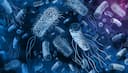 Pathogenic Variants